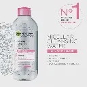 Garnier SkinActive Micellar Water 400ml